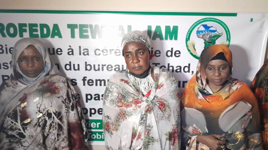 Afrique : L'ONG TEWTAL-JAM établit son bureau au Tchad Afrique : L'ONG TEWTAL-JAM établit son bureau au Tchad