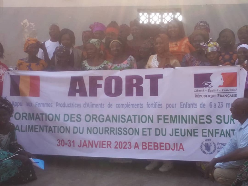 Tchad : 2 jours de formation sur la nutrition du nourrisson et du jeune enfant à Bébédjia Tchad : 2 jours de formation sur la nutrition du nourrisson et du jeune enfant à Bébédjia