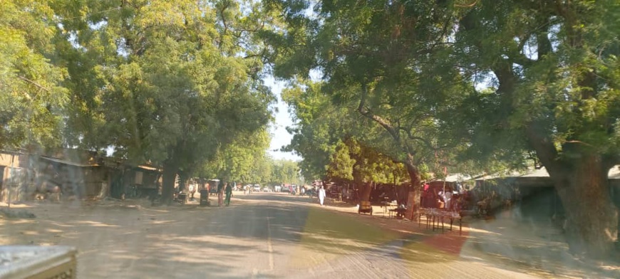 لمحات عن رحلتي إلى مدينة (بايبوكوم) حاضرة مقاطعة جبل لام ، ولاية لوغون الشرقيه جنوب البلاد (تشاد) لمحات عن رحلتي إلى مدينة (بايبوكوم) حاضرة مقاطعة جبل لام ، ولاية لوغون الشرقيه جنوب البلاد (تشاد)