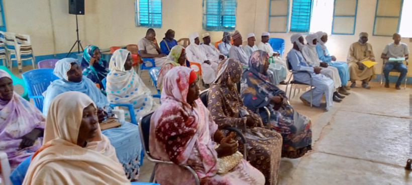 Tchad : une plateforme d'innovation des chaînes de valeur mise en place dans le Salamat Tchad : une plateforme d'innovation des chaînes de valeur mise en place dans le Salamat