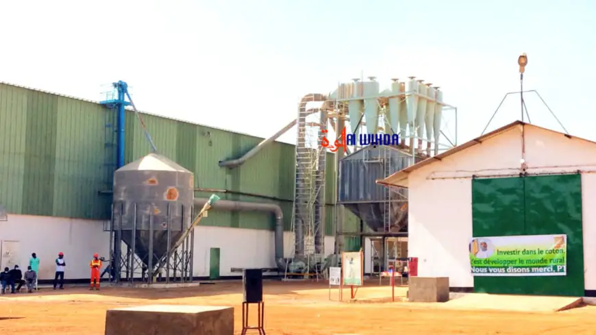 Tchad : inauguration d’une usine de délintage et pose de pierre d'une usine d’égrenage à Gounou Gaya