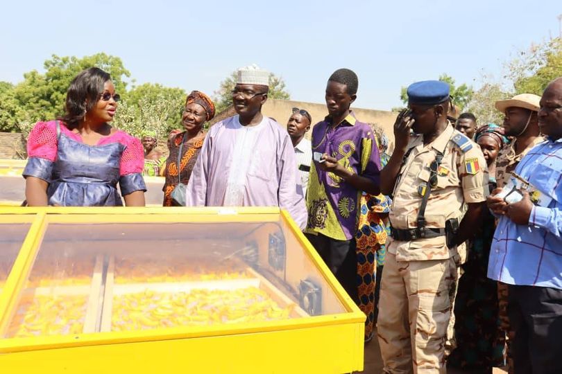 Tchad : Coton Tchad SN forme des femmes en techniques de séchage Tchad : Coton Tchad SN forme des femmes en techniques de séchage