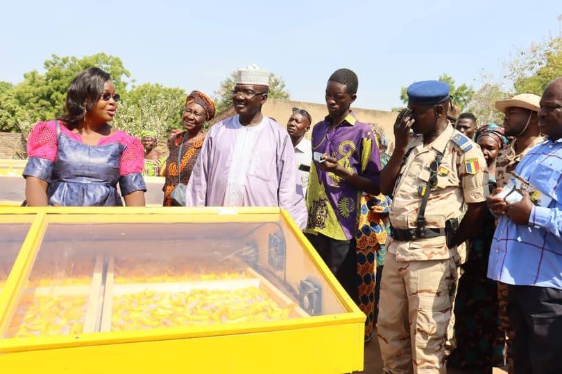 Tchad :  Coton Tchad SN forme des femmes en techniques de séchage