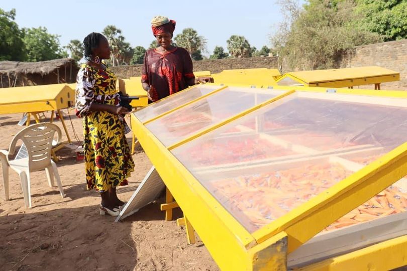 Tchad :  Coton Tchad SN forme des femmes en techniques de séchage