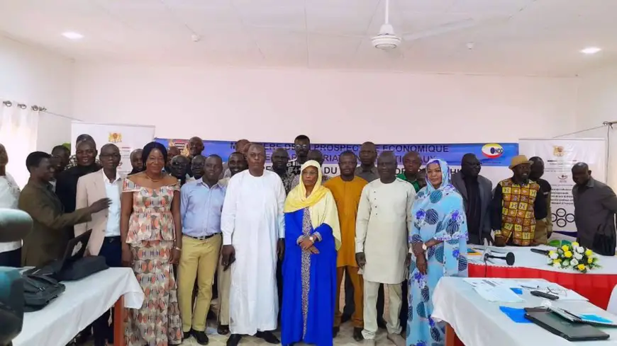 Tchad : l'ONDD organise un atelier de validation de la 2ème série de rapports dimensionnels