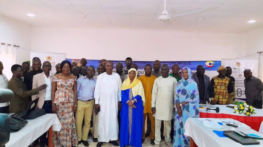 Tchad : l'ONDD organise un atelier de validation de la 2ème série de rapports dimensionnels Tchad : l'ONDD organise un atelier de validation de la 2ème série de rapports dimensionnels