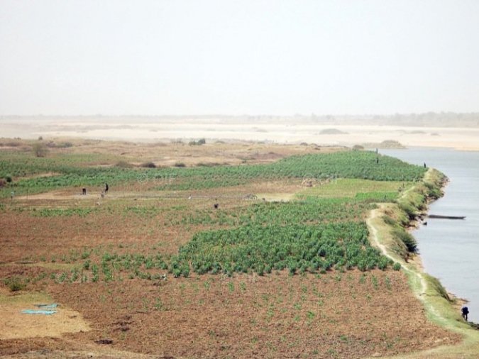 Fleuve Chari, Tchad, 2003. Crédit photo : mediatheque.francophonie.org