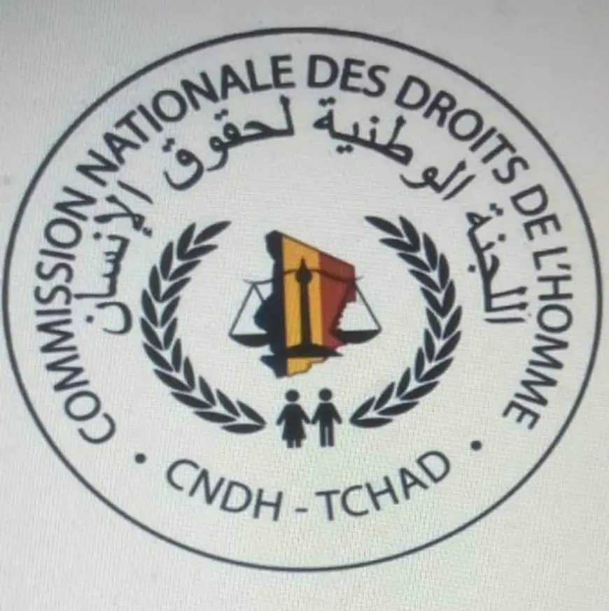 Tchad : ​la désapprobation du président de la CNDH par les commissaires est-elle délibérée ou forcée ?