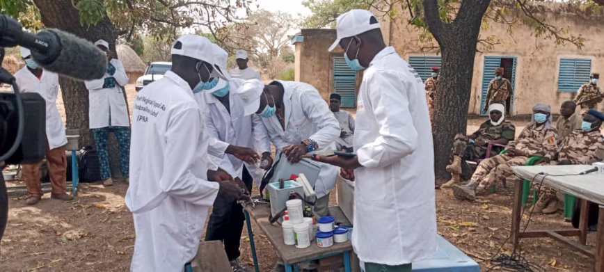 Tchad : une campagne de vaccination du bétail lancée dans la Tandjilé Tchad : une campagne de vaccination du bétail lancée dans la Tandjilé