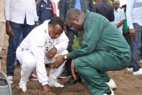 Congo : Denis Sassou N’Guesso annonce un vaste programme de reboisement  dans les grandes villes