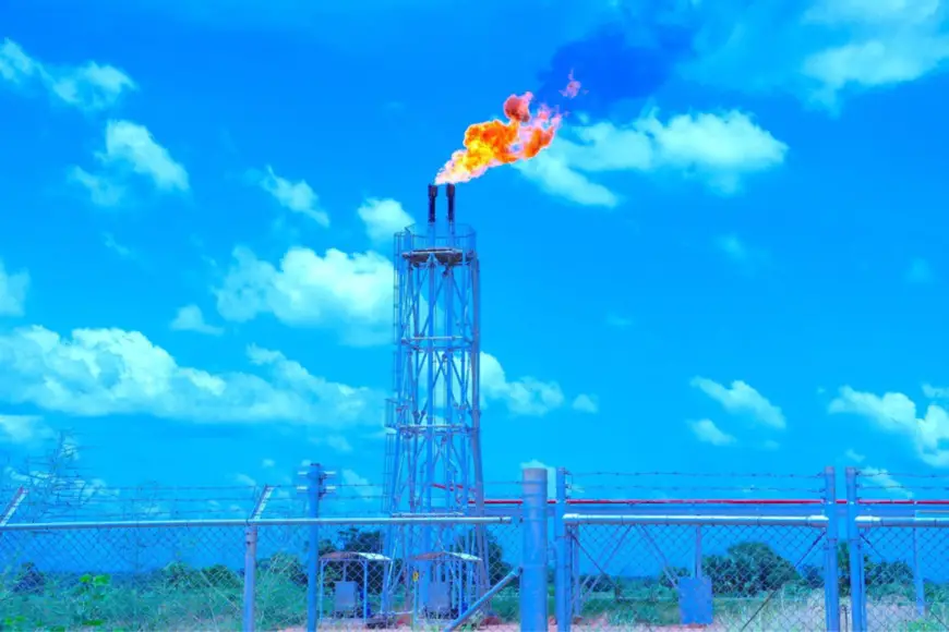 Souveraineté nationale : le Tchad justifie la nationalisation des actifs pétroliers d'Esso
