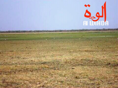 Tchad : la province du Salamat touchée par un conflit communautaire Tchad : la province du Salamat touchée par un conflit communautaire