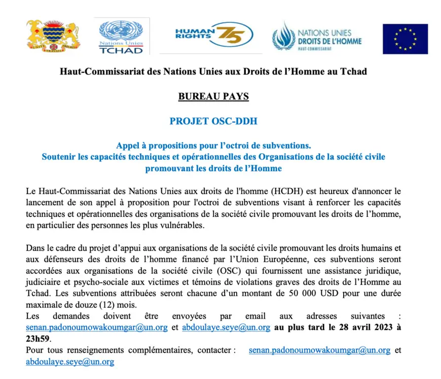 Tchad : appel à propositions du HCDH visant à soutenir les capacités techniques et opérationnelles des OSC