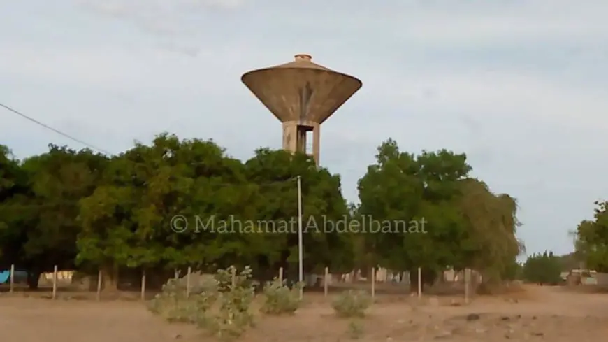 Tchad : à Am-Timan, l'eau est une denrée inexistante ou rarement disponible