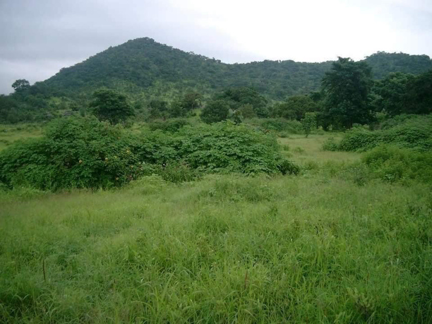 Le département des Monts de Lam. © DR