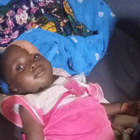 Tchad : un appel aux dons pour soutenir les victimes des Monts de Lam Tchad : un appel aux dons pour soutenir les victimes des Monts de Lam