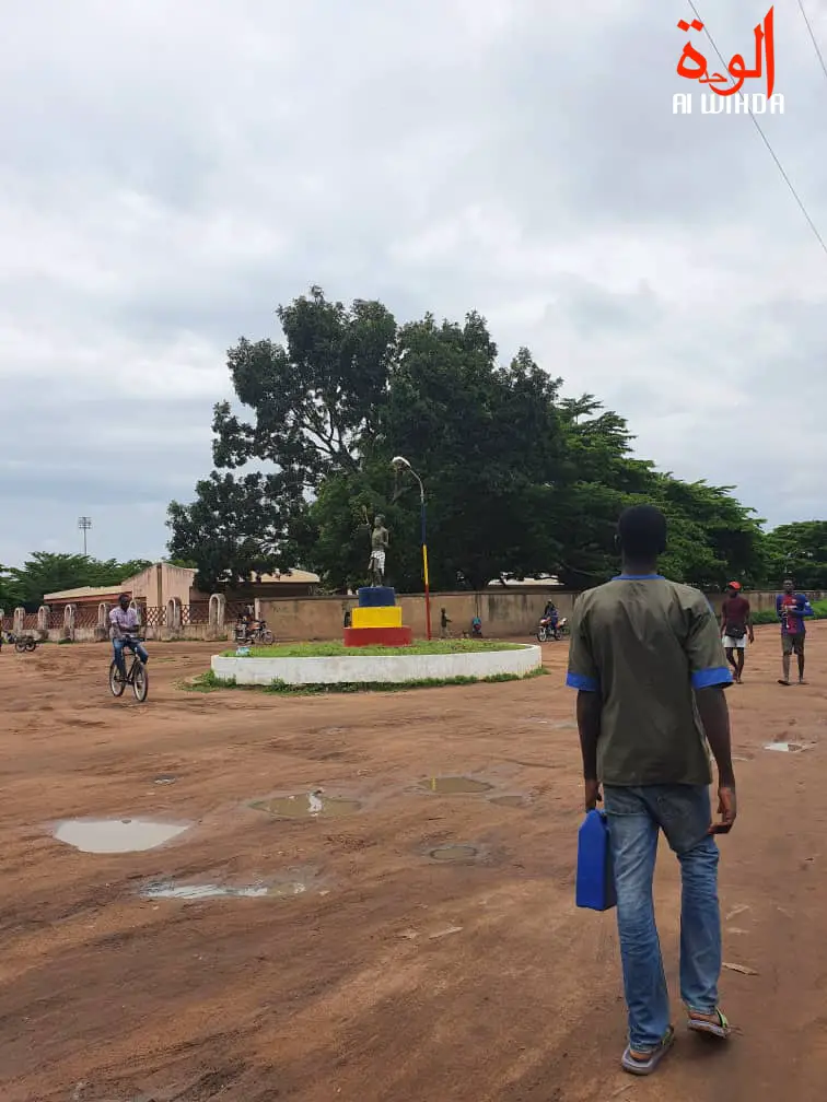 Tchad : un convoi conjoint de l'armée française et tchadienne en mission au Logone Oriental