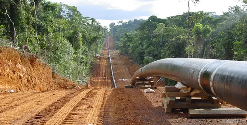 Le pipeline Tchad-Cameroun. © DR