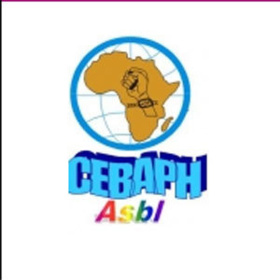 66ème anniversaire de la DUDH, La réaction du CEBAPH: Quelle place pour les droits de l'Homme en Afrique ? 