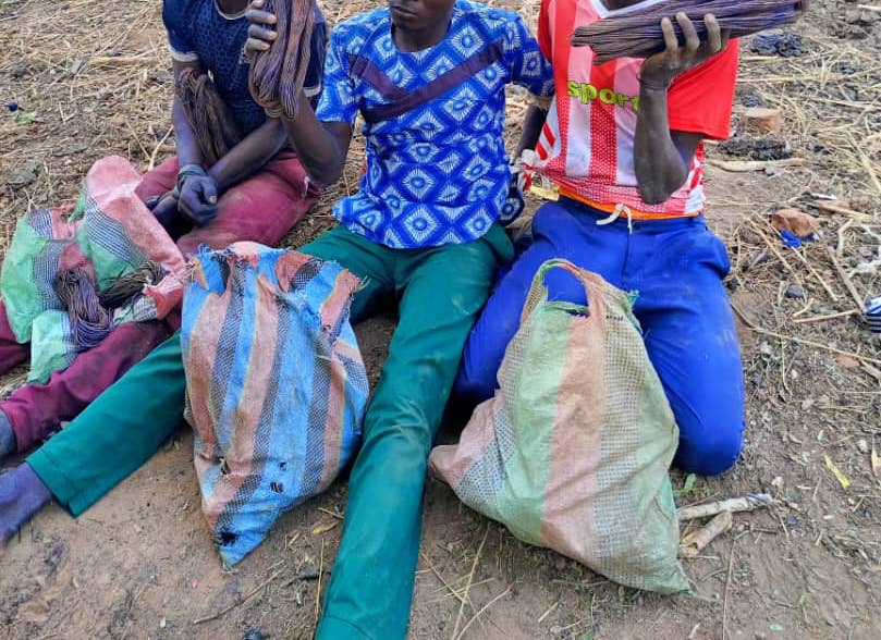 Tchad : les forces de sécurité arrêtent les présumés voleurs de câbles à Komé Tchad : les forces de sécurité arrêtent les présumés voleurs de câbles à Komé