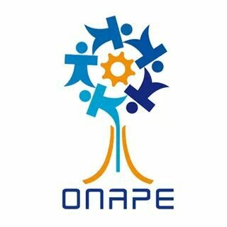 Tchad : Recrutement des ONGs Locales chargées de la formation en entreprenariat agricole par l'ONAPE (Projet PDCEJ)