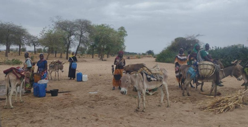 Afflux de réfugiés soudanais au Tchad. © Djibrine Haïdar/Alwihda Info Afflux de réfugiés soudanais au Tchad. © Djibrine Haïdar/Alwihda Info