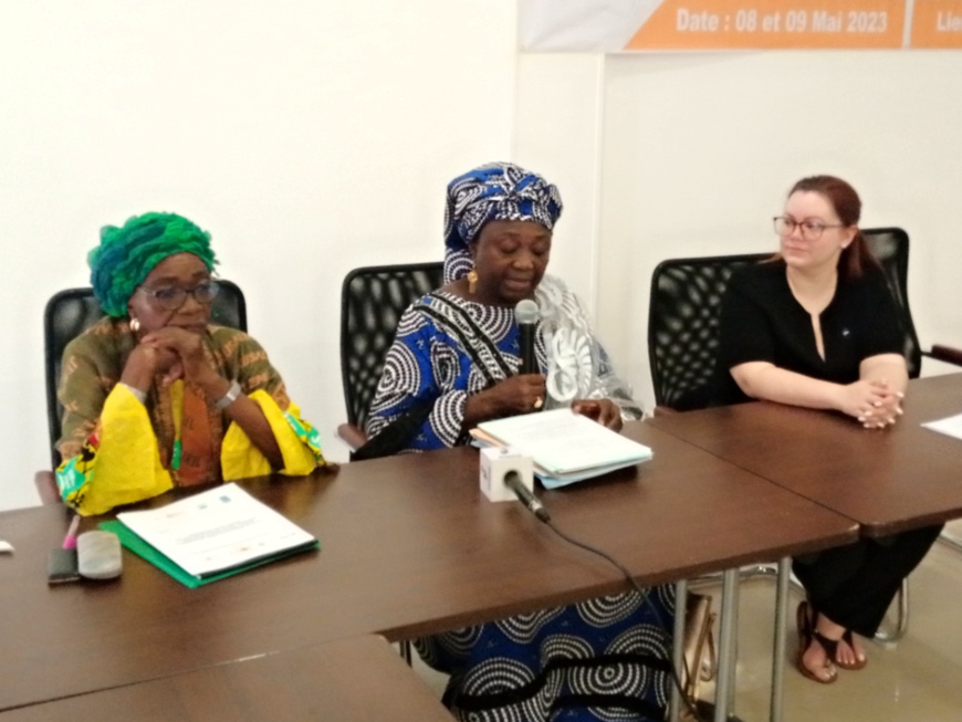 Le Tchad s'engage dans l'élaboration de son premier plan d'action national pour la résolution 1325 de l'ONU Le Tchad s'engage dans l'élaboration de son premier plan d'action national pour la résolution 1325 de l'ONU