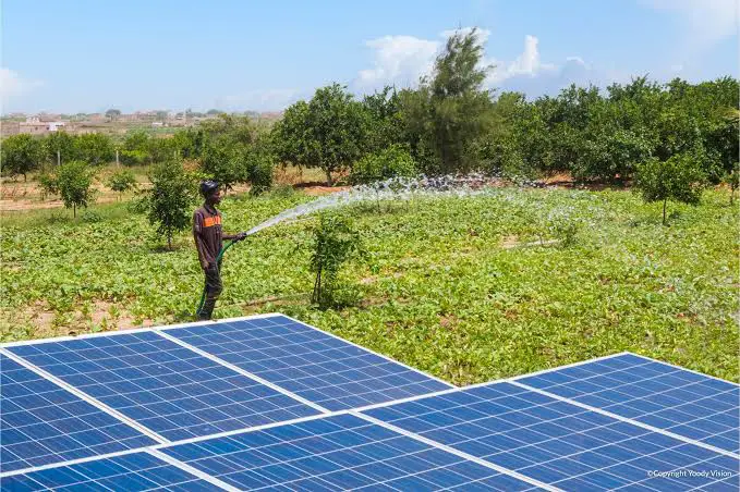 Le solaire pour l'agriculture : une centrale solaire inaugurée au Sénégal