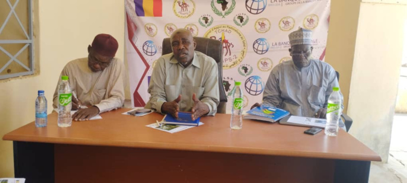 Le Tchad veut davantage protéger le bétail contre les maladies bovines et des petits ruminants Le Tchad veut davantage protéger le bétail contre les maladies bovines et des petits ruminants