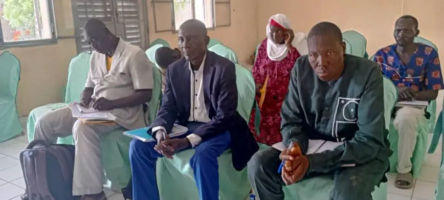 Tchad : une mission ministérielle à Laï pour le suivi-évaluation de la vaccination du bétail