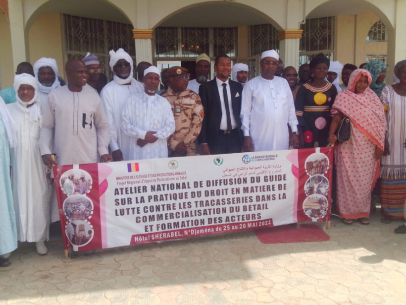 Tchad : le PRAPS-2 élabore un guide pour renforcer la protection des commerçants de bétail contre les tracasseries Tchad : le PRAPS-2 élabore un guide pour renforcer la protection des commerçants de bétail contre les tracasseries