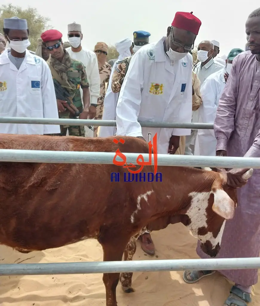 Tchad : lancement de la campagne de vaccination des petits ruminants à Fadalari, au Kanem