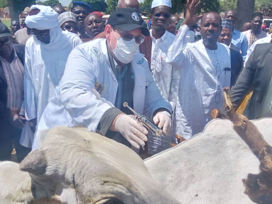 Tchad : le programme "Le Goût de la Vie" lancé au Mayo Kebbi Ouest pour renforcer les systèmes alimentaires Tchad : le programme "Le Goût de la Vie" lancé au Mayo Kebbi Ouest pour renforcer les systèmes alimentaires