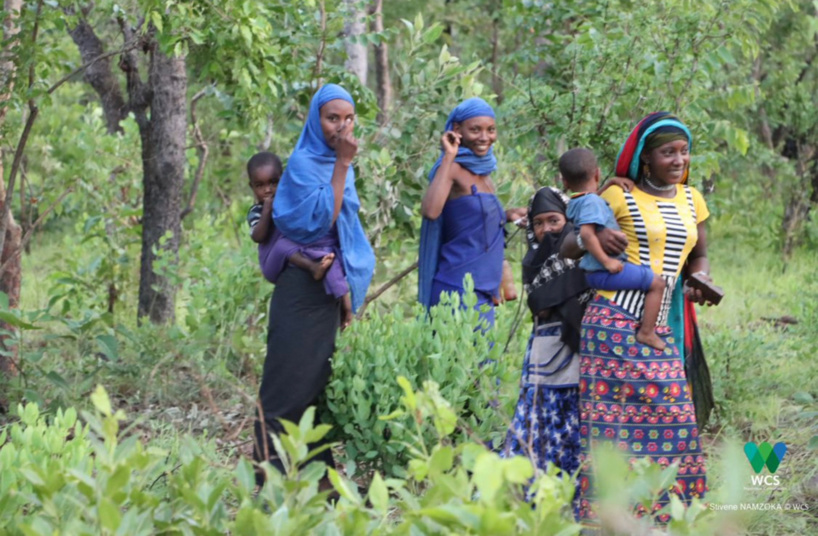 L’UNESCO désigne 11 nouvelles réserves de biosphère dont en RCA et au Cameroun L’UNESCO désigne 11 nouvelles réserves de biosphère dont en RCA et au Cameroun