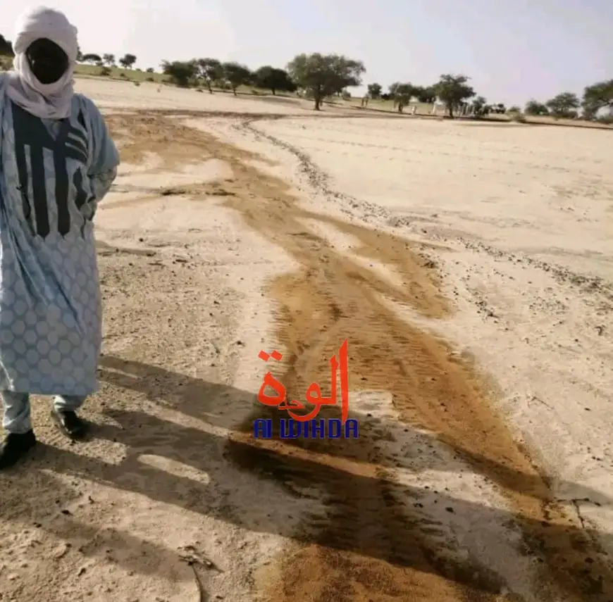 Tchad : nouveau déversement de pétrole brut dans le département de Wayi au Lac