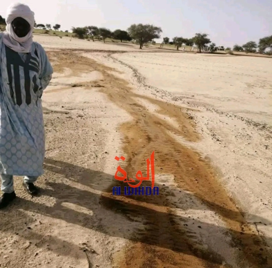 Tchad : nouveau déversement de pétrole brut dans le département de Wayi au Lac Tchad : nouveau déversement de pétrole brut dans le département de Wayi au Lac