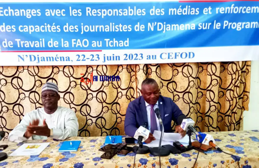 Tchad : la FAO et les médias unis pour promouvoir des systèmes agroalimentaires inclusifs et durables