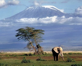 Tourisme : Comment réussir votre  Safari ?