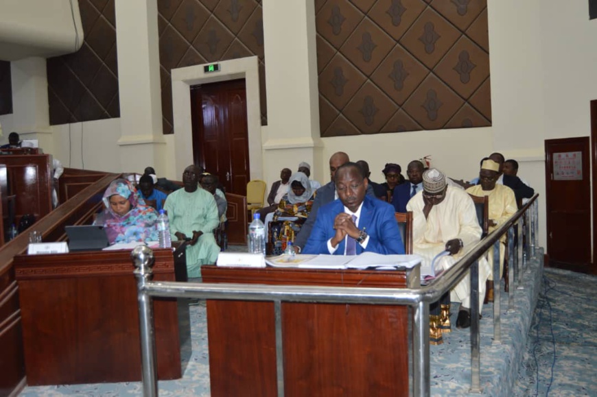Tchad : le projet de Constitution adopté au Conseil national de transition Tchad : le projet de Constitution adopté au Conseil national de transition