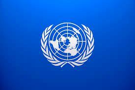 Scandale: Selon Afrique media, L'ONU fournit des armes à Boko Haram Scandale: Selon Afrique media, L'ONU fournit des armes à Boko Haram