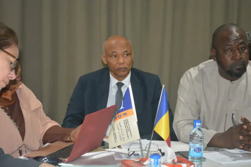 Tchad : le ROS CBLT promeut le développement durable en prélude du forum des gouverneurs du BLT