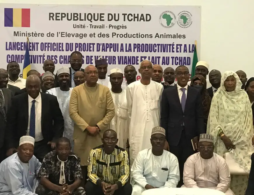 La BAD soutient le projet ambitieux du Tchad pour développer le secteur de l'élevage