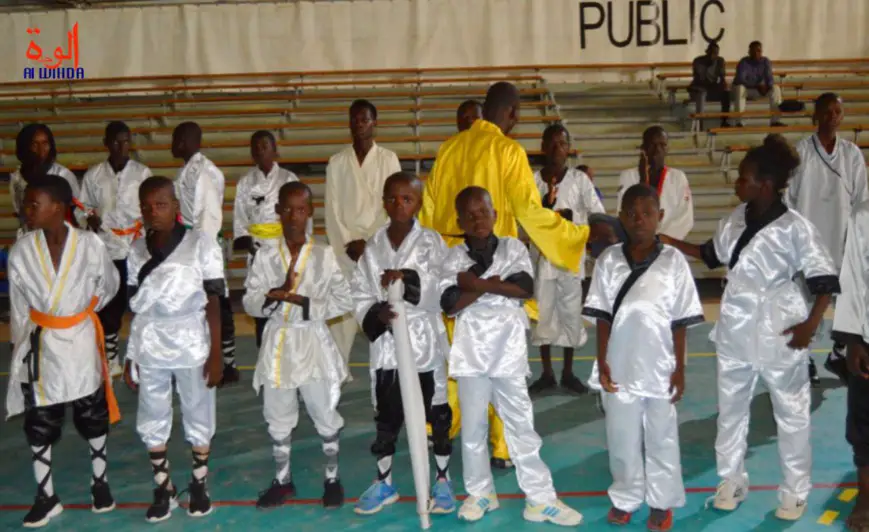 Le Kung-fu prend son envol au Tchad avec le lancement de la Fédération nationale