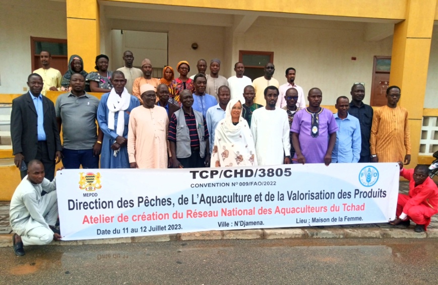 Le Tchad renforce son secteur aquacole avec la mise en place d'un réseau national d'aquaculteurs Le Tchad renforce son secteur aquacole avec la mise en place d'un réseau national d'aquaculteurs