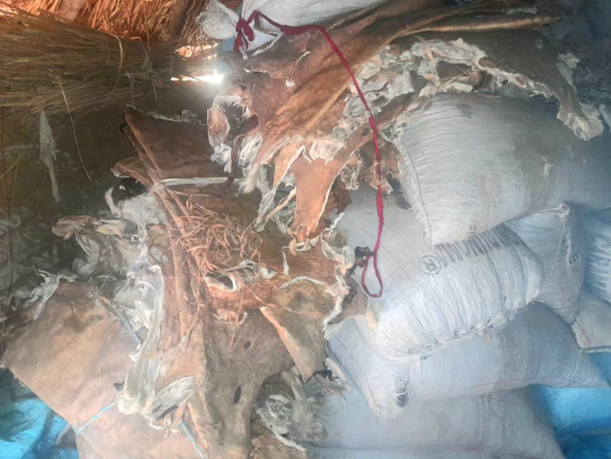 Tchad : L'UMOCIRT s'engage à construire un site dédié aux femmes tanneuses de Bokoro Tchad : L'UMOCIRT s'engage à construire un site dédié aux femmes tanneuses de Bokoro