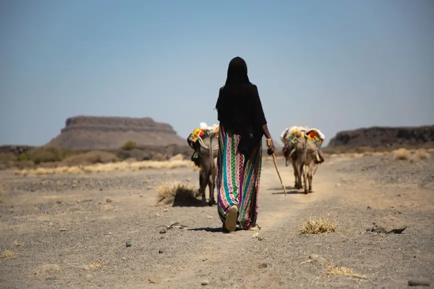 En Éthiopie, le changement climatique provoque des déplacements et une concurrence pour des ressources limitées. © UNICEF