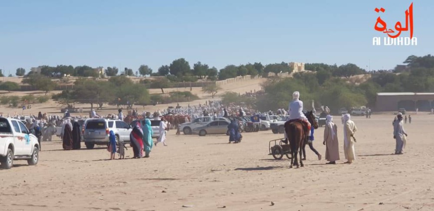 Tchad : deux enfants tués lors d'une pluie torrentielle à Moussoro Tchad : deux enfants tués lors d'une pluie torrentielle à Moussoro