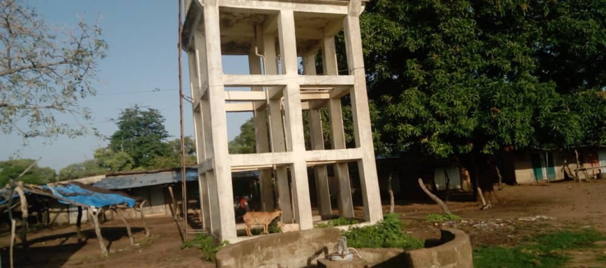 Tchad : l'eau, une denrée rare dans la sous-préfecture de Ndam Tchad : l'eau, une denrée rare dans la sous-préfecture de Ndam