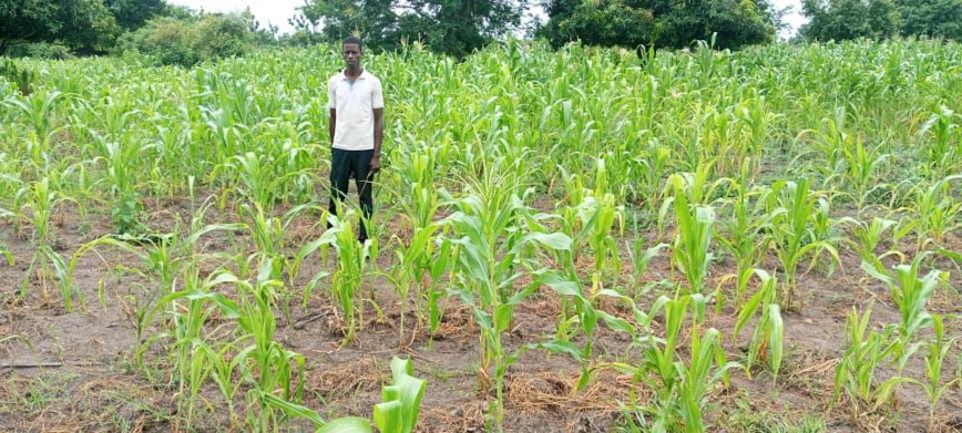 Tchad : l'ONG ESEDD en action contre les dégâts des aléas climatiques dans la Nya
