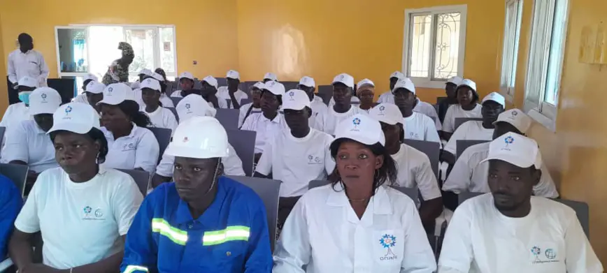 Tchad : l'ONAPE lance son programme d'appui aux diplômés sans expérience au Mayo Kebbi Est